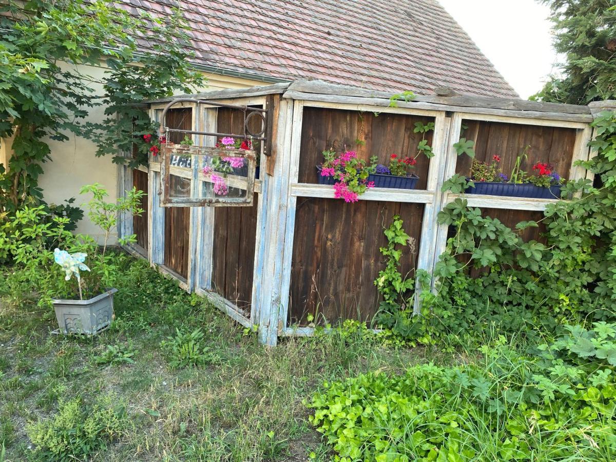 Ostsee Radlerpension Peitz エクステリア 写真